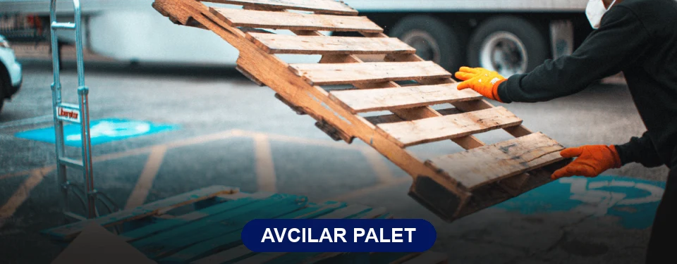 Avcılar Paletçi