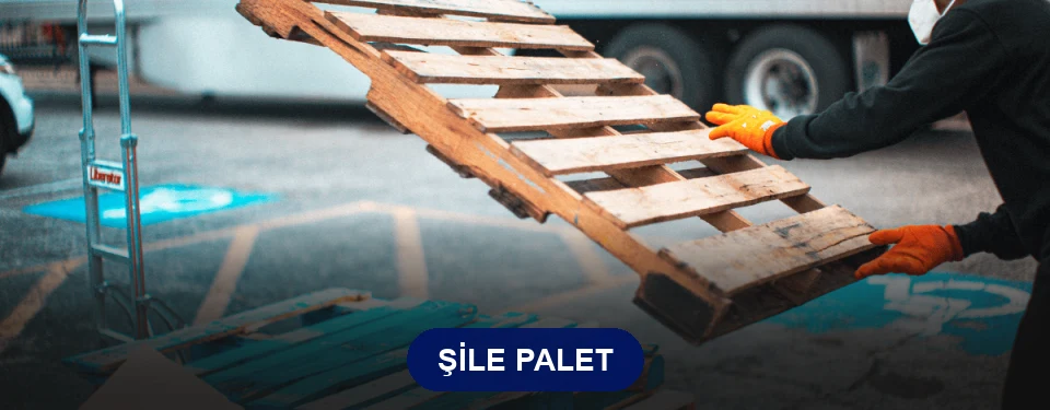 Şile Paletçi